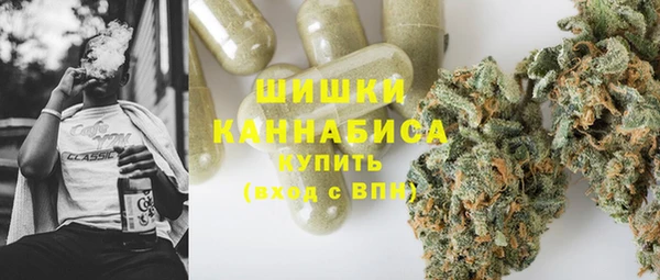 индика Богданович